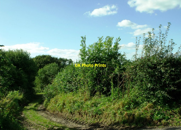 Photo 6"x4" Public footpath near Lodge Farm, Keymer Clayton\/TQ3014 c2012