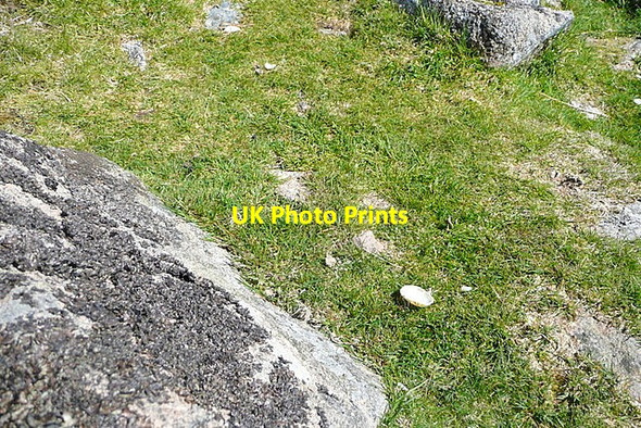 Photo 6"x4" Shell at Shell Top Lee Moor\/SX5661 c2012