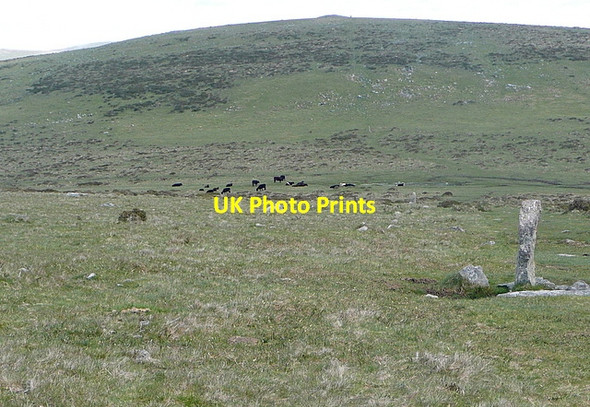 Photo 6"x4" Boundary stones north of Western Beacon Ivybridge\/SX6356 c2012