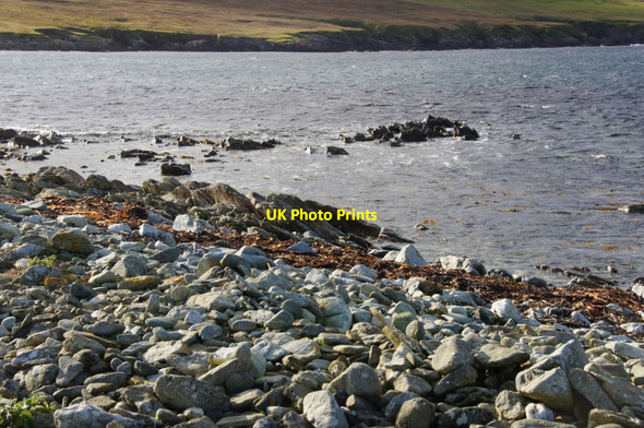 Photo 6"x4" Banks, Ham Ness Muness c2012