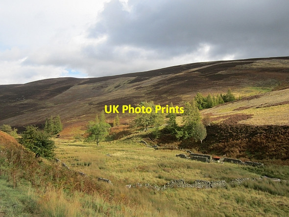 Photo 6"x4" Ruined dykes, Glensax Bonnington\/NT2538 c2012