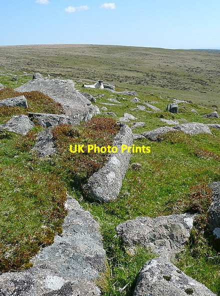 Photo 6"x4" South of Sharp Tor Harford\/SX6359 c2012