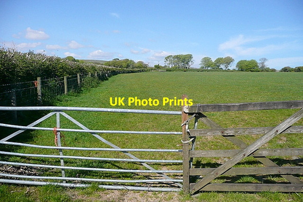 Photo 6"x4" Farmland near Tor Torr\/SX6160 c2012