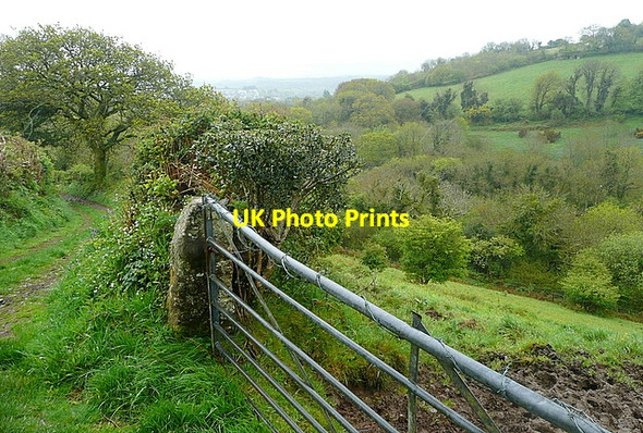 Photo 6"x4" Bridleway to Lutton Lutton\/SX6961 c2012