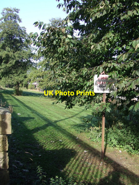 Photo 6"x4" Carlton Place garden Glasgow c2012