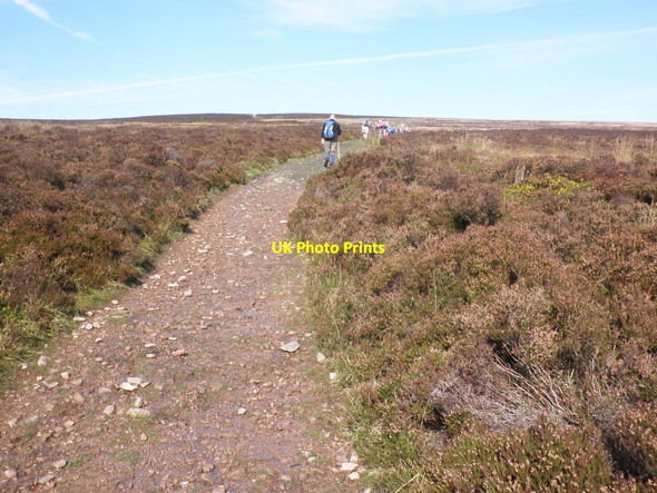 Photo 6"x4" Track to Dunkery Beacon Codsend c2012