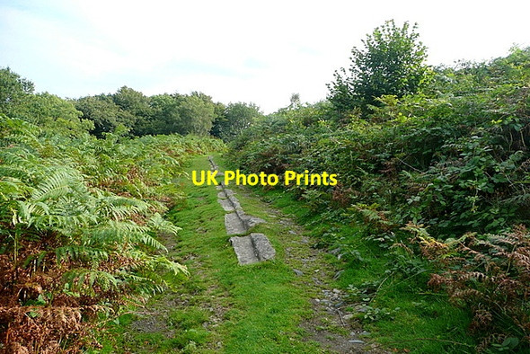Photo 6"x4" Haytor granite tramway Green Lane\/SX7877 c2012