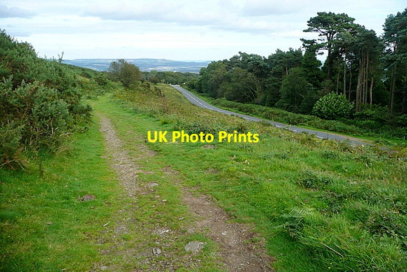 Photo 6"x4" Haytor granite tramway Haytor Vale c2012