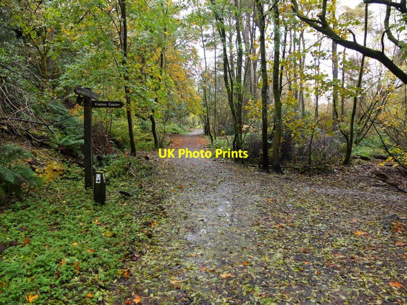 Photo 6"x4" Path junction, Mugdock Country Park Mugdock c2012