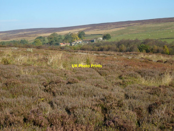 Photo 6"x4" Looking across to Bonfield Ghyll The Grange\/SE5796 c2012