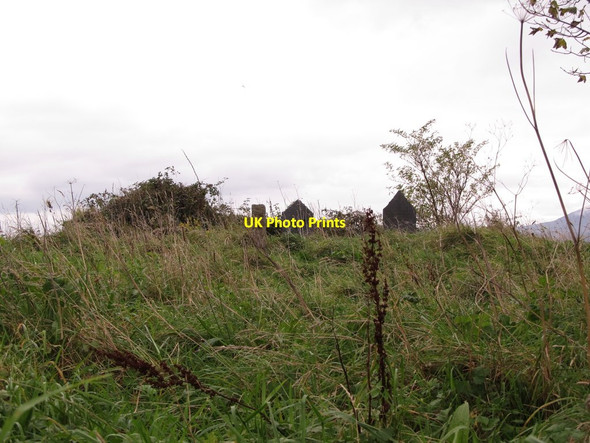 Photo 6"x4" The wilderness of Lisnacree graveyard Greencastle\/J2411 c2012