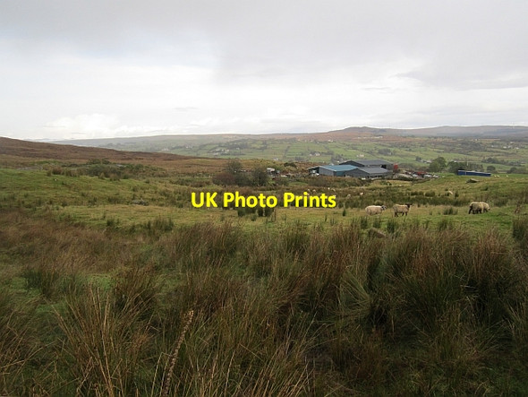 Photo 6"x4" Rough pasture, Allt na Pėiste Altnapaste c2012