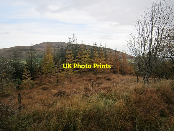 Photo 6"x4" Rowantree Brae Altnapaste c2012