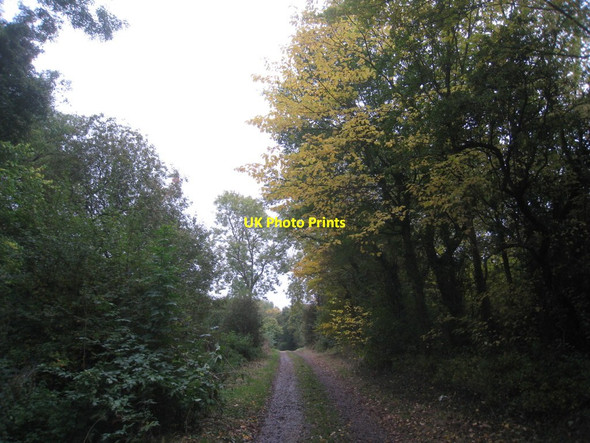 Photo 6"x4" Rathole Lane in autumn Clarborough c2012