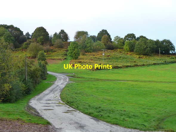 Photo 6"x4" Roadway on Bringsty Common Bringsty Common c2012