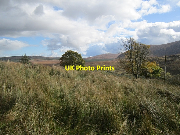 Photo 6"x4" Stroangarrow wetland Commeen c2012