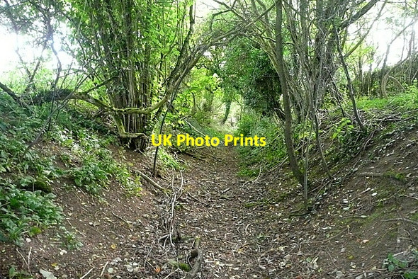 Photo 6"x4" Footpath to Pinnock Farmcote\/SP0628 c2012