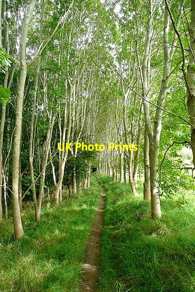 Photo 6"x4" Path towards Cutsdean Ford\/SP0829 c2012 P1