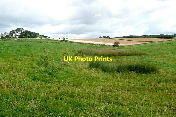 Photo 6"x4" Headwaters of a stream Ford\/SP0829 c2012