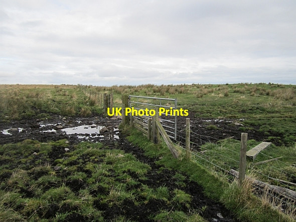 Photo 6"x4" Gate on Longstone Hill Warenford c2012