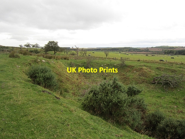 Photo 6"x4" Quarry above Rayheugh Warenford c2012