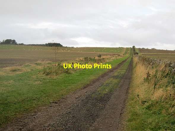 Photo 6"x4" Farm road Warenford c2012