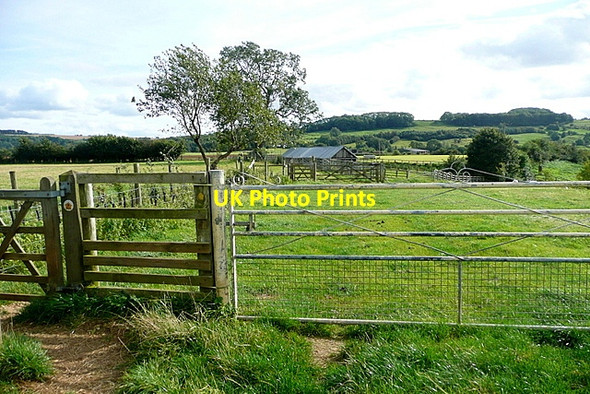 Photo 6"x4" Cotswold Way at Pye Corner Coppice Buckland\/SP0836 c2012
