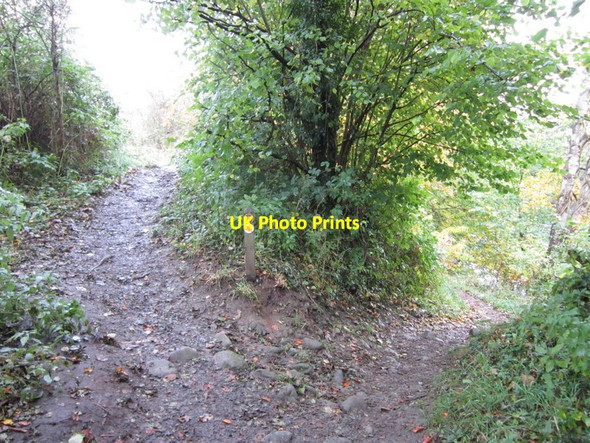 Photo 6"x4" The Dales Way Addingham c2012 P2