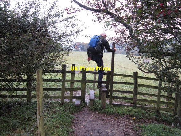 Photo 6"x4" The Dales Way Beamsley c2012
