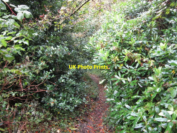 Photo 6"x4" The Dales Way Beamsley c2012