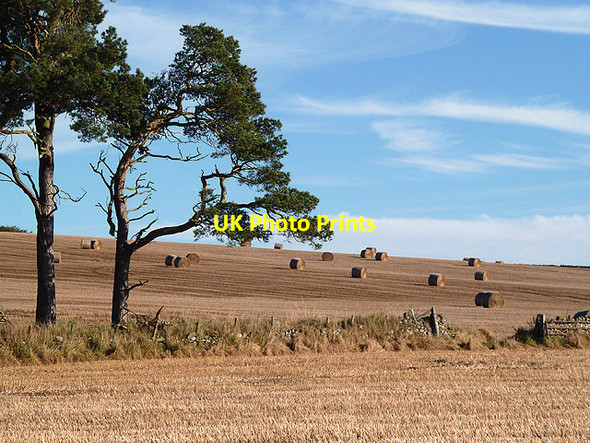Photo 6"x4" Farmland at Foulshot Law Greenlaw\/NT7146 c2012