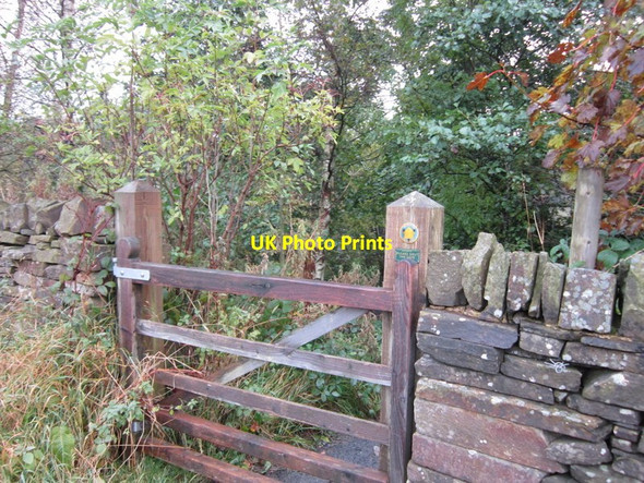Photo 6"x4" The Dales Way Beamsley c2012