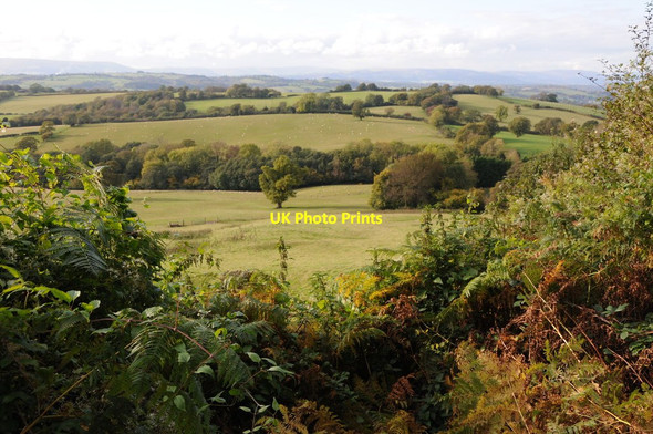 Photo 6"x4" Farmland above the Usk valley Pen-y-cae-mawr c2012