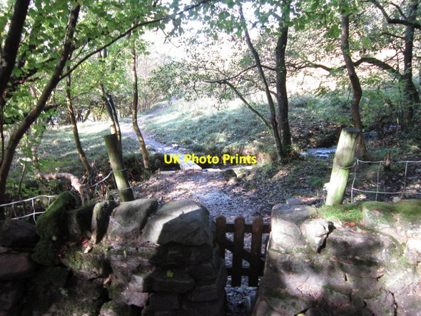 Photo 6"x4" The Dales Way Drebley c2012 P3