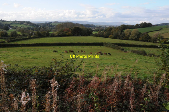 Photo 6"x4" Usk farmland Usk\/Brynbuga c2012