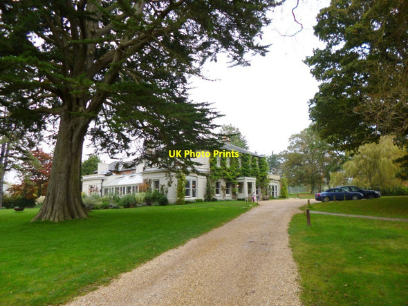 Photo 6"x4" Brockenhurst, The Pig Balmerlawn c2012