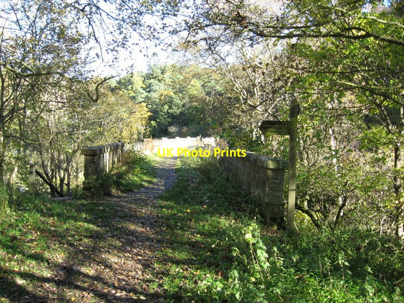 Photo 6"x4" Neidpath Viaduct Footpath Peebles\/NT2540 c2012