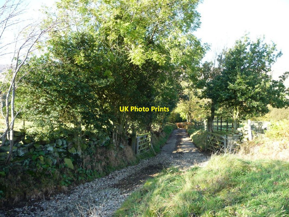 Photo 6"x4" The track to Wood End, Westerdale Westerdale\/NZ6605 c2012