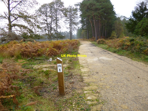 Photo 6"x4" Hawkhill Inclosure, cycle track Furzey Lodge c2012
