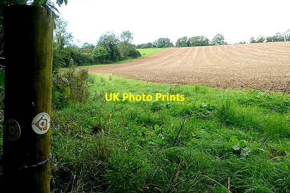 Photo 6"x4" On the Monarch's Way footpath Clapton-on-the-Hill c2012