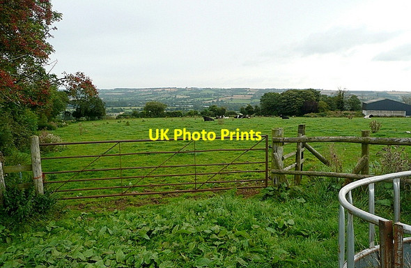 Photo 6"x4" Cattle pasture near Clapton Clapton-on-the-Hill c2012