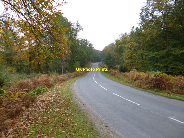 Photo 6"x4" Stockley Inclosure, B3055 Furzey Lodge c2012