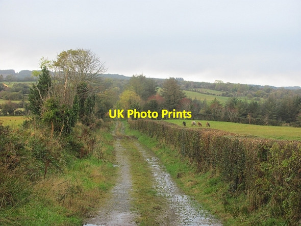 Photo 6"x4" An unsurfaced road Killygordon c2012