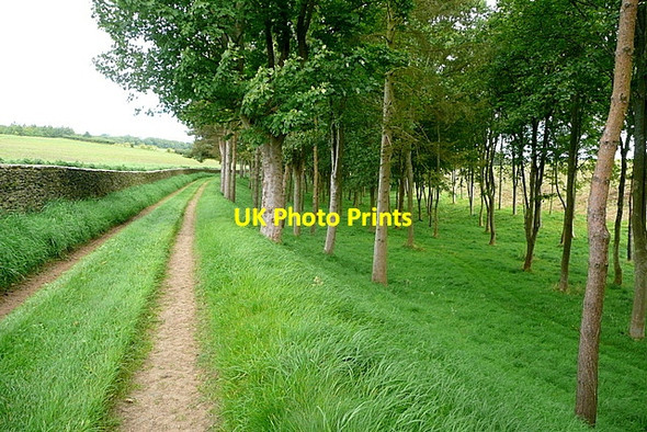 Photo 6"x4" Footpath at Haycroft Bottom Farmington c2012
