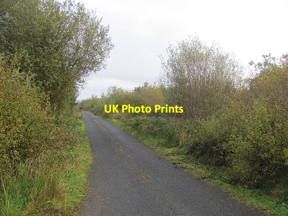 Photo 6"x4" Road, Sallywood Ballybofey c2012