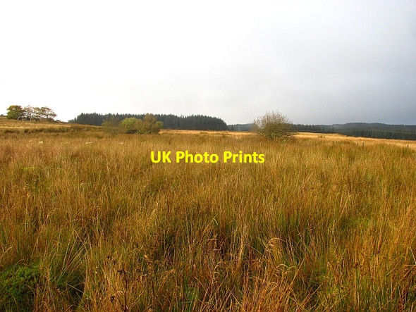 Photo 6"x4" Wetland on Lismullyduff Mountain Ballybofey c2012
