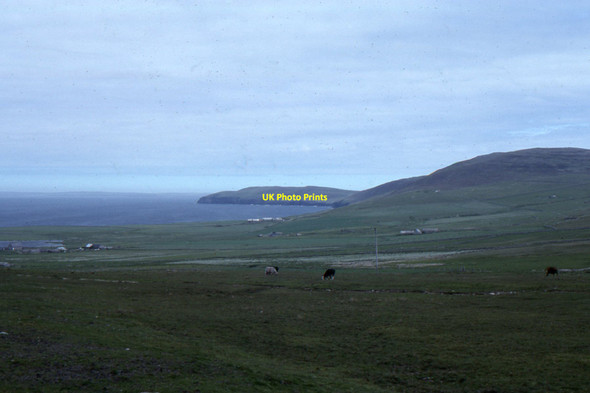Photo 6"x4" Rousay: northern slopes from above the Loch of Wasbister Wasbister\/HY3932 c1995
