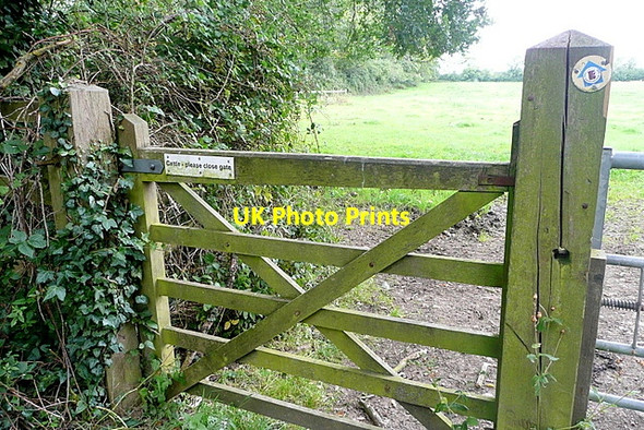 Photo 6"x4" Cattle - please close gate Clapton-on-the-Hill c2012