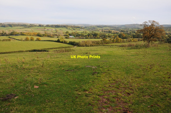 Photo 6"x4" Monmouthshire farmland Llandenny c2012