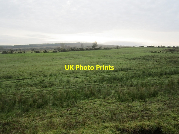 Photo 6"x4" Grassland, Lismulladuff Killygordon c2012